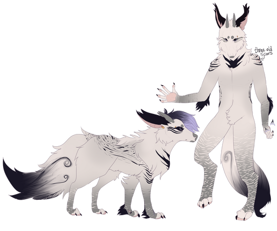 Reference Sheet Reference Sheet